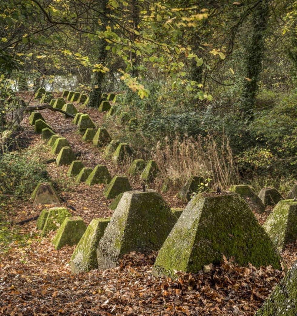 View of stone anti-tank defences, covered in moss, in a woodland setting