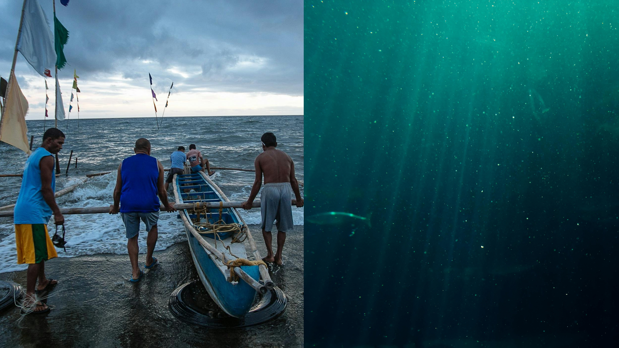 Fishermen capture eerie 'alien mermaid' footage in Puerto Rico