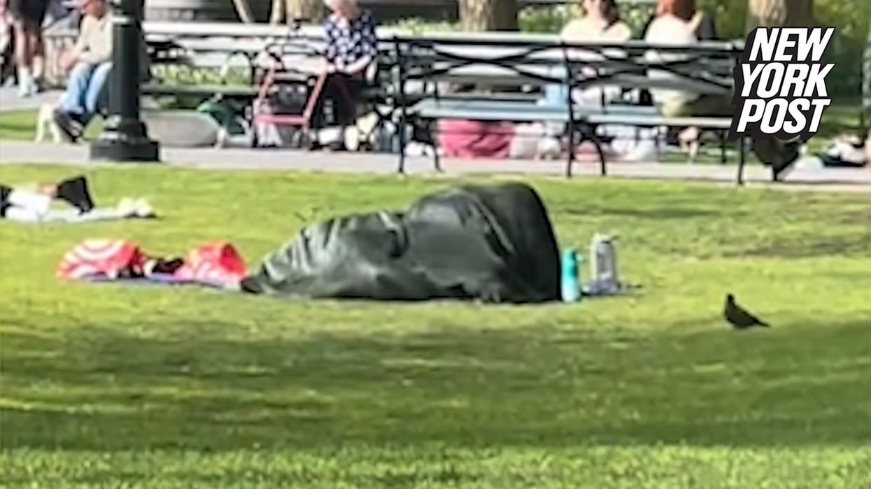 Couple under blanket in NYC park spark outrage