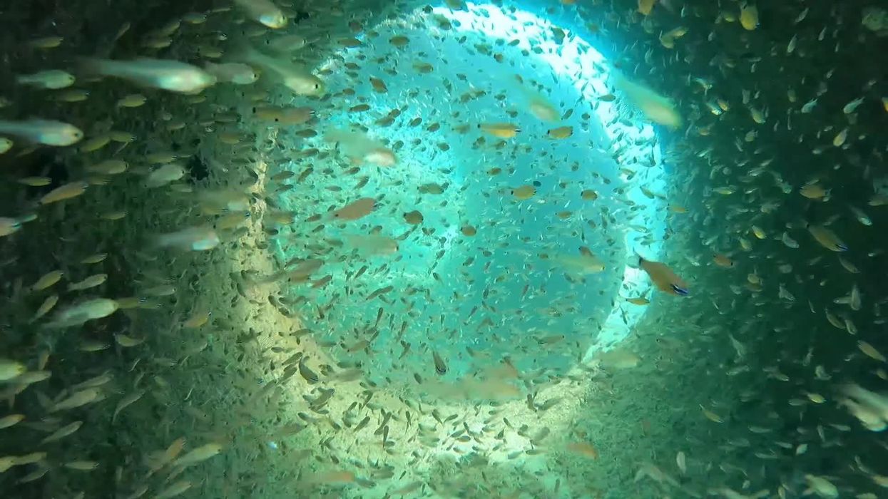 Scientists dumbstruck by discovery of 'strange underwater road'