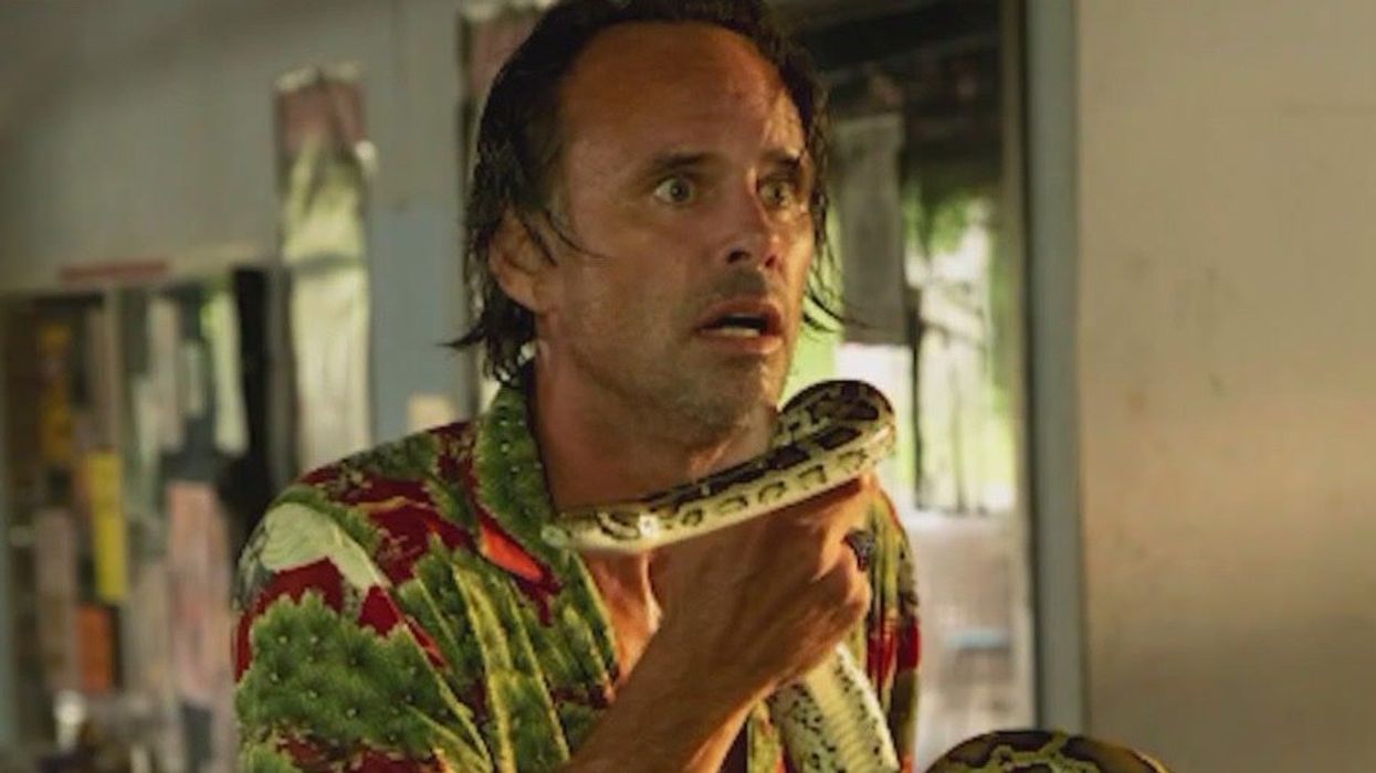 White Lotus fan-favourite narrates 'sleep story' to calm viewers after tense episodes