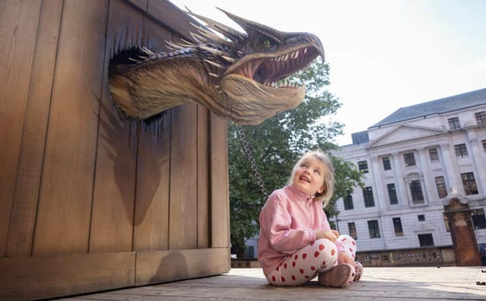 Warner Bros. Hungarian Horntail Dragon Stunt