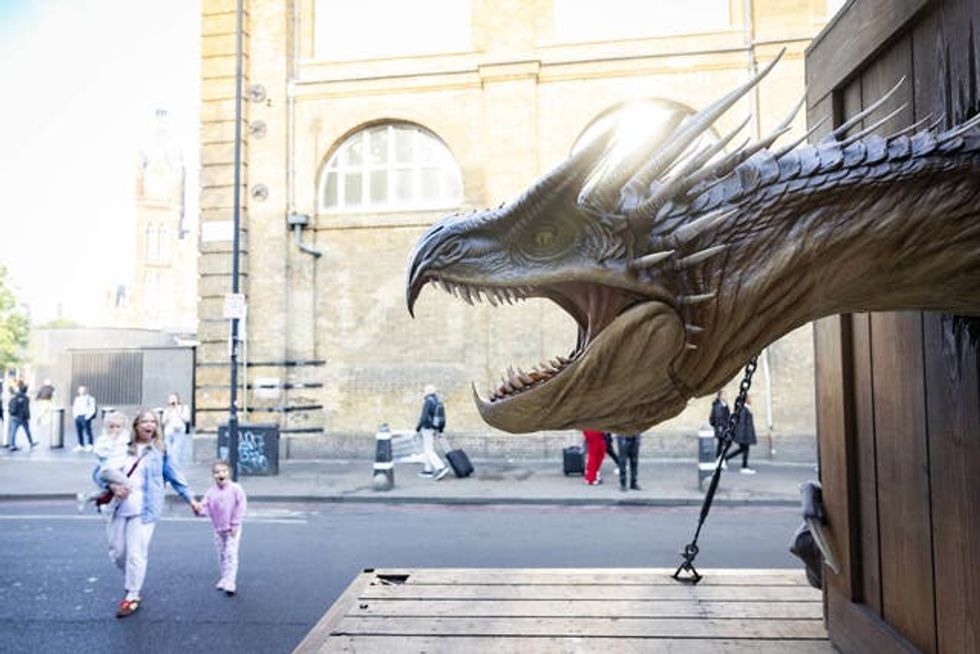 Warner Bros. Hungarian Horntail Dragon Stunt