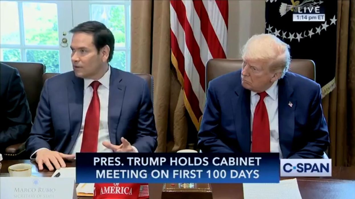 'Was it me or Elon?' JD Vance cracks joke on censorship in cabinet meeting