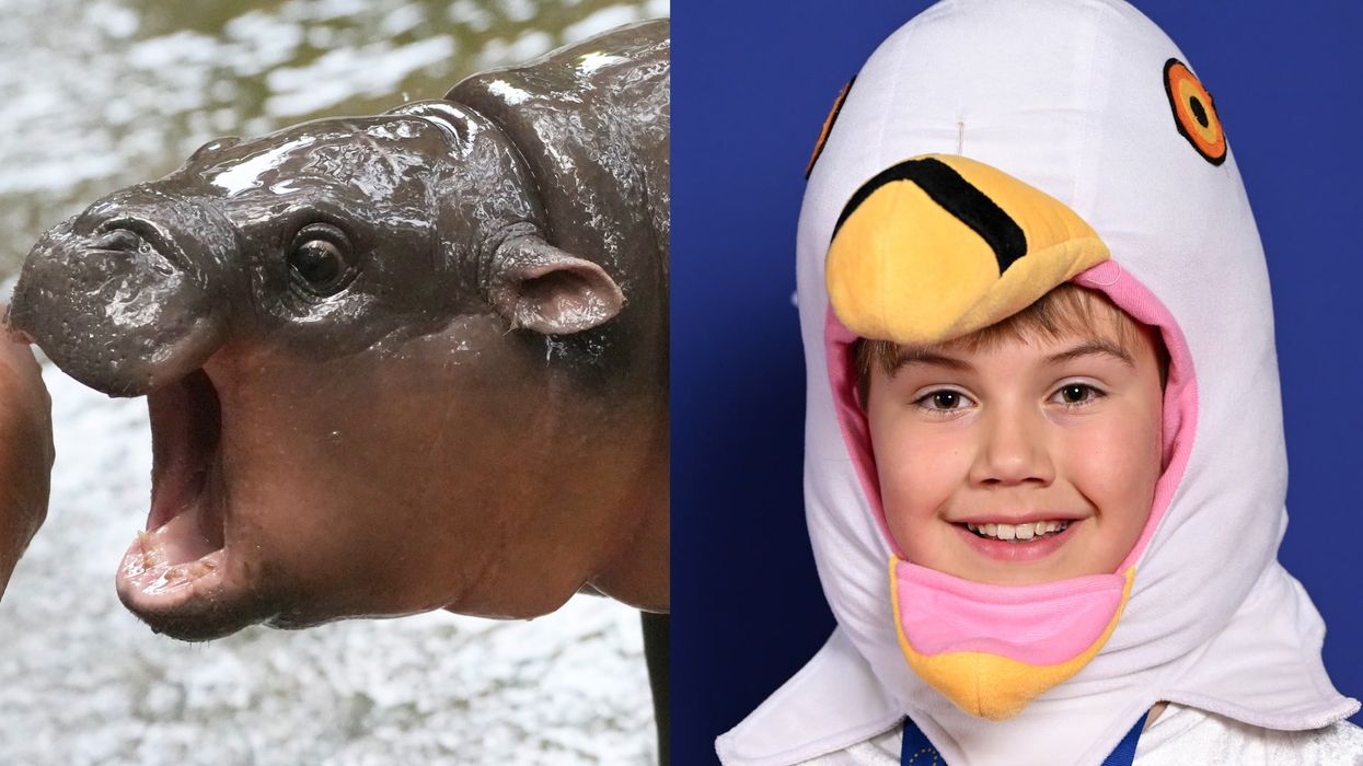 These were the biggest viral moments of 2024