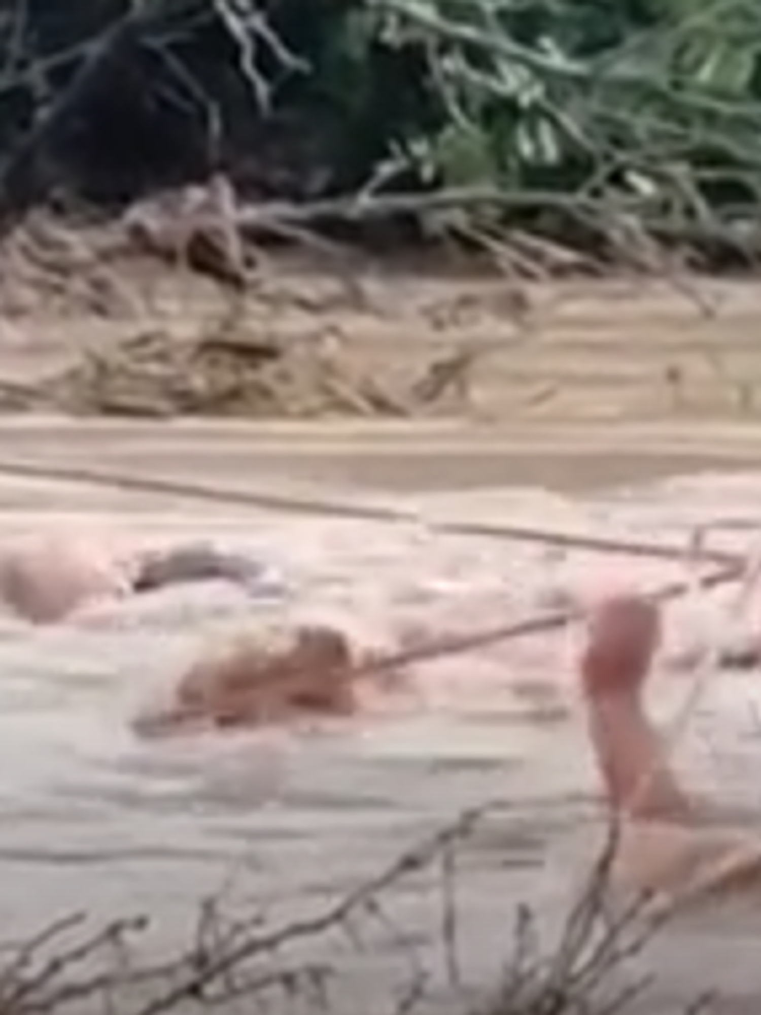 Watch heroic crew carry out dramatic rope rescue during Texas flash floods