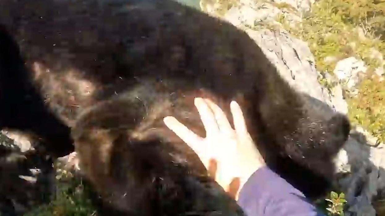 Climber captures terrifying moment that he has to fight off a bear