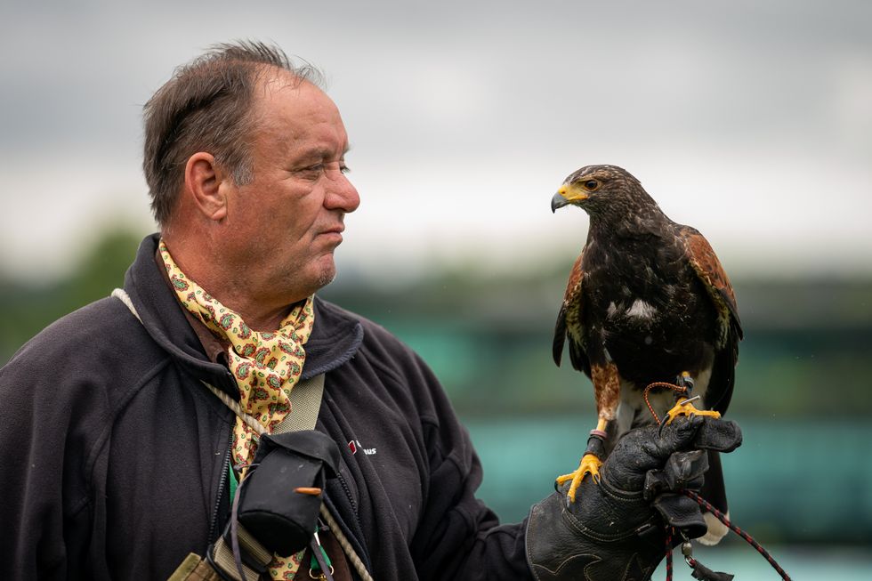 Wimbledon hawk trainer was told to ‘get a proper job’ in early days