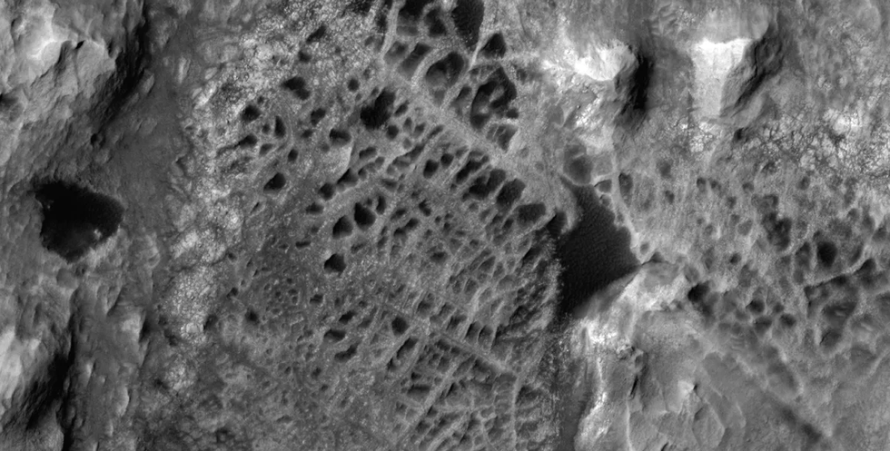 Web-like structures on Mars
