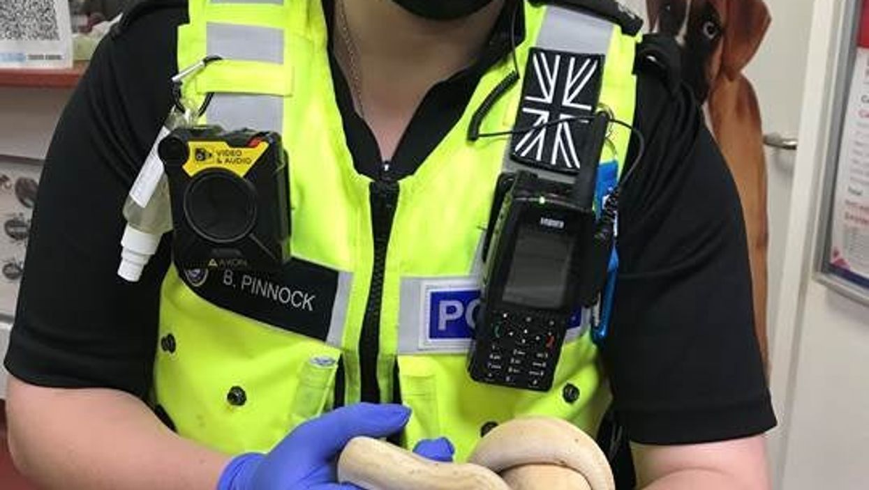 (West Midlands Police)