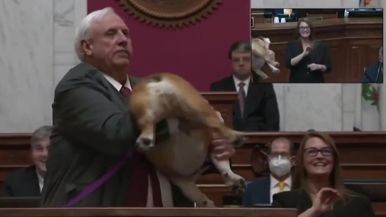 West Virginia governor tells Bette Midler to kiss his dog's hiney