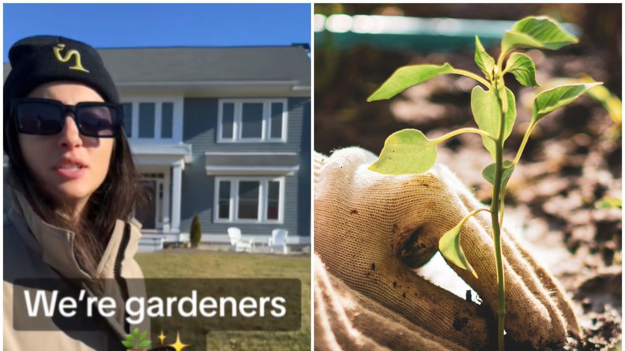 Why has the term 'gardening' caused confusion on TikTok?