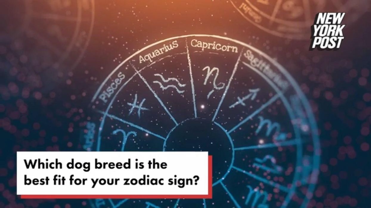 This star sign is most-likely to be a Republican politician