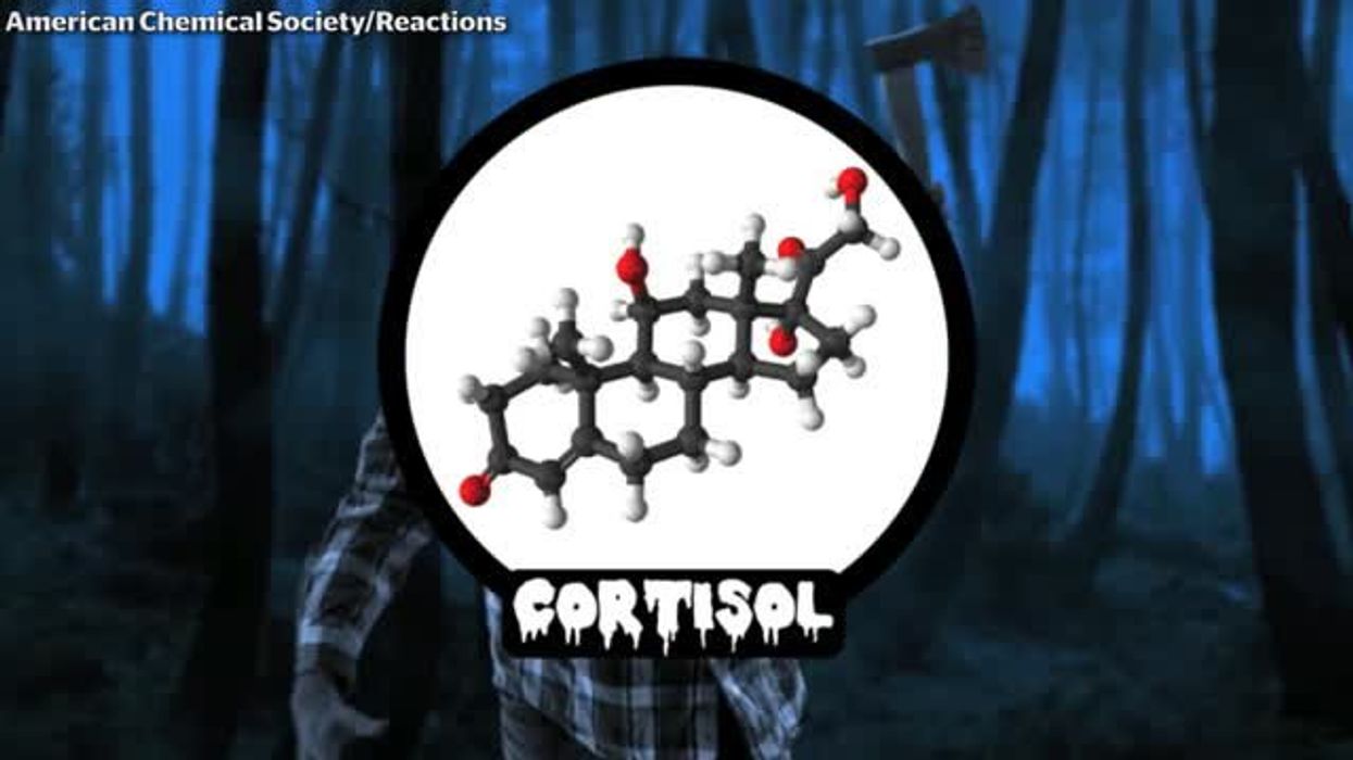 Hospice nurse reveals what people experience and see before they die