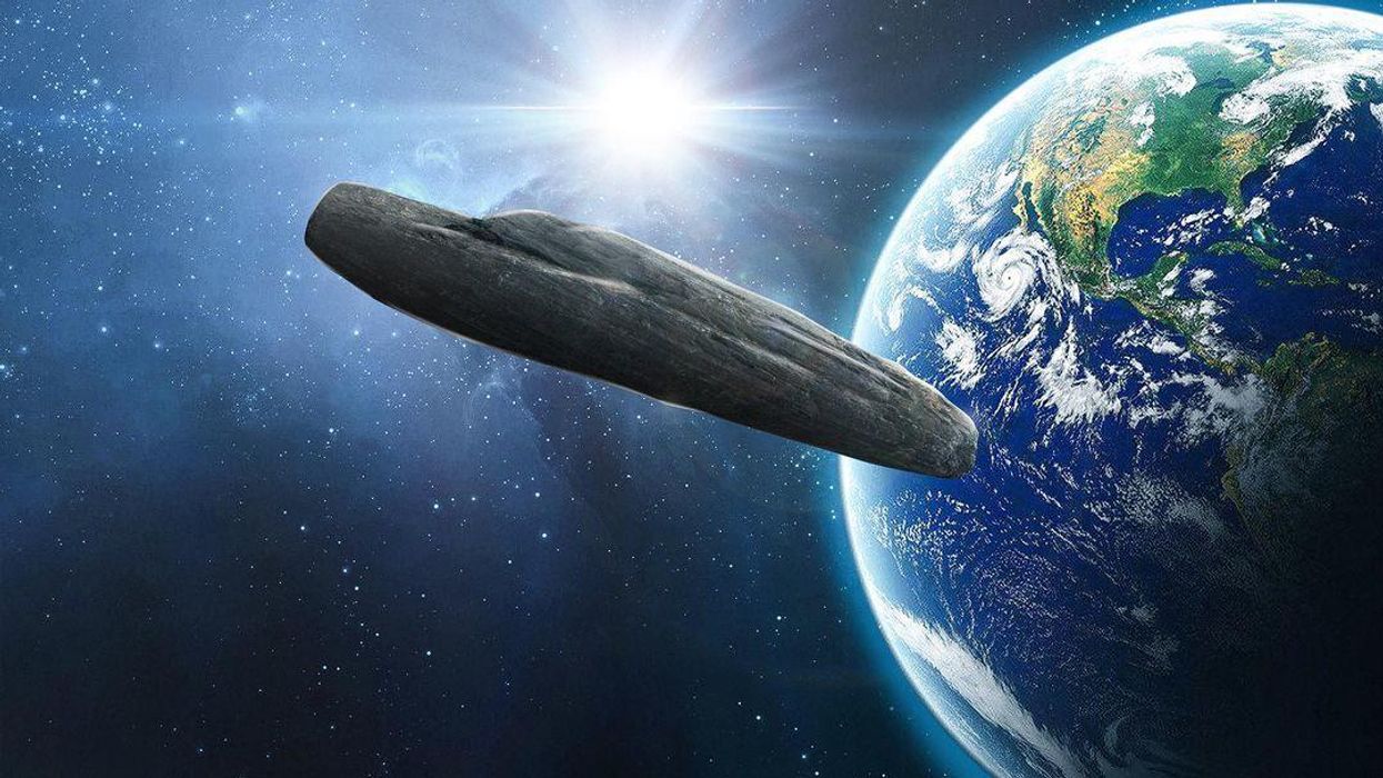 Does famous 'Madonna and Child' painting contain proof aliens exist?