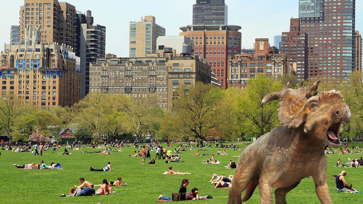 New discovery of 'bizarre fossils' rewrites armoured dinosaur evolution