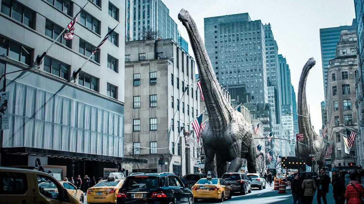 Rare Antarctic dinosaur fossil rediscovered in drawer after decades
