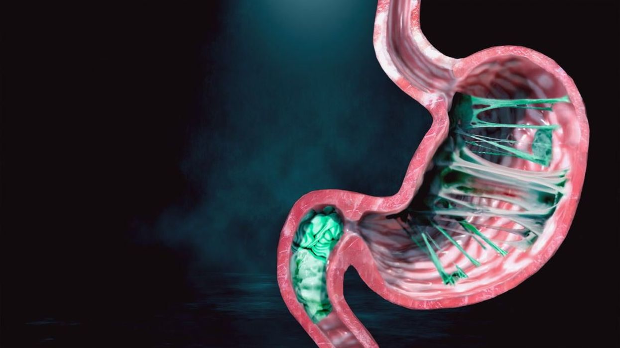 Expert sets record straight on what really happens when you swallow chewing gum