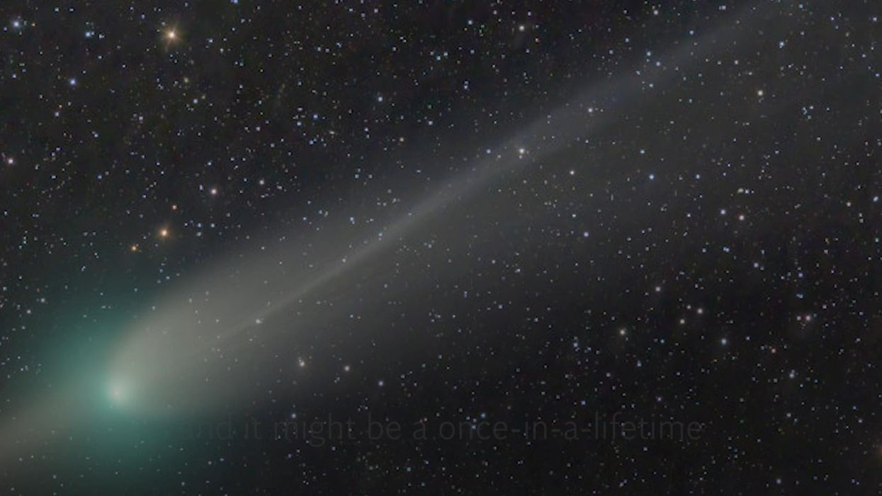 How to see the rare green comet which is passing Earth tonight?