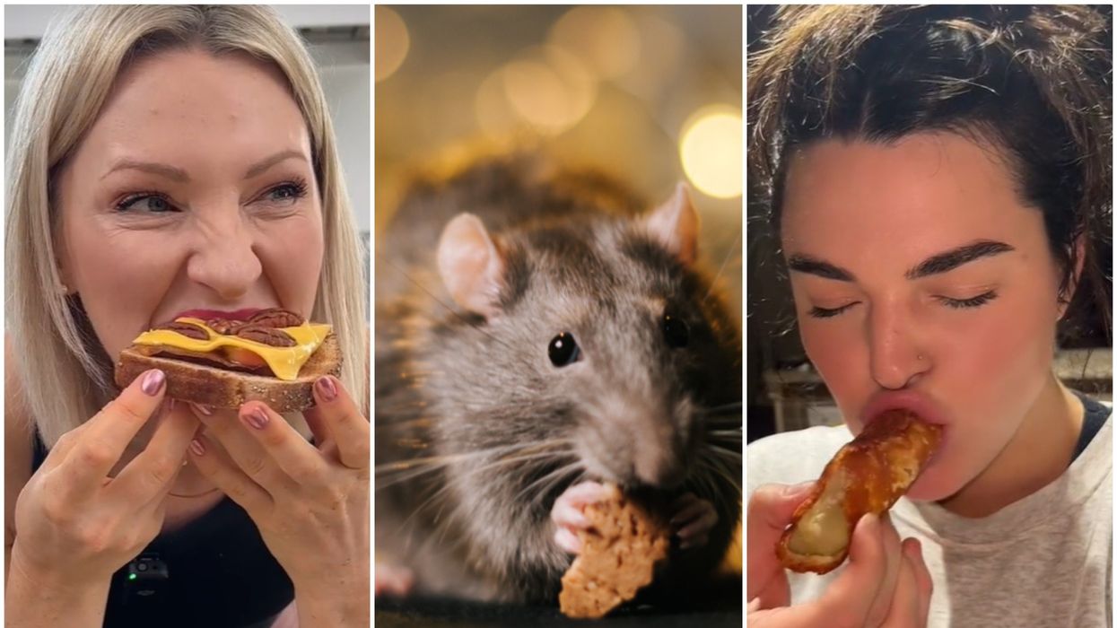 What is 'rat snacking'? The latest TikTok food trend explained