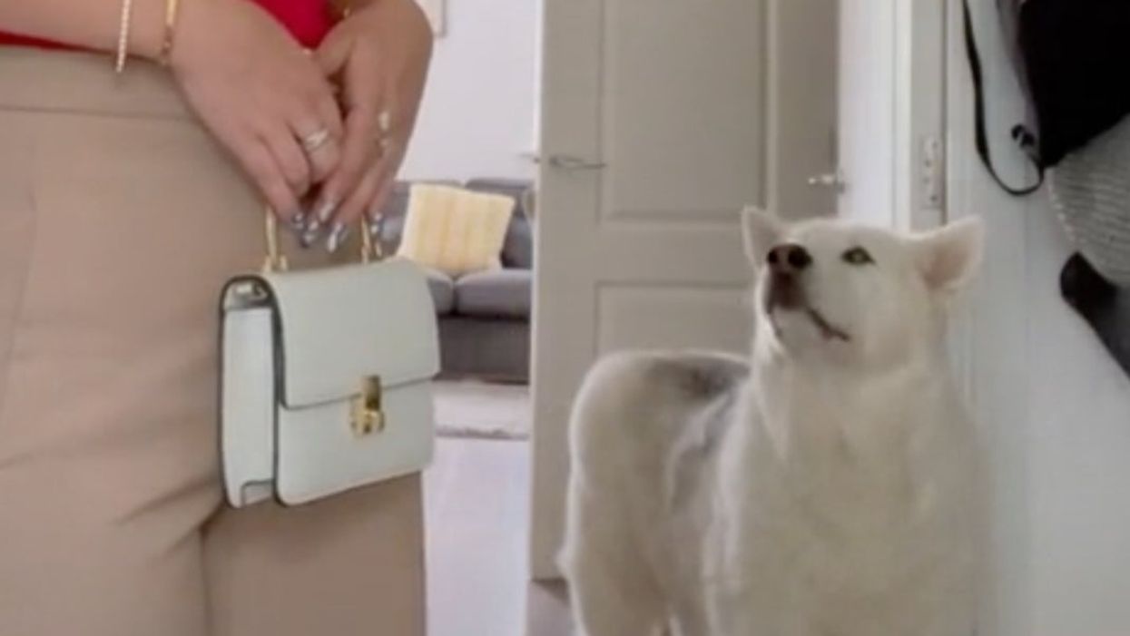 <p>“Where are you going?”  </p>