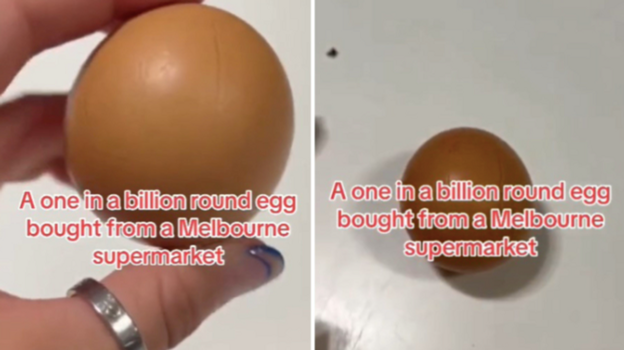 'One in a billion' perfectly round egg found in supermarket
