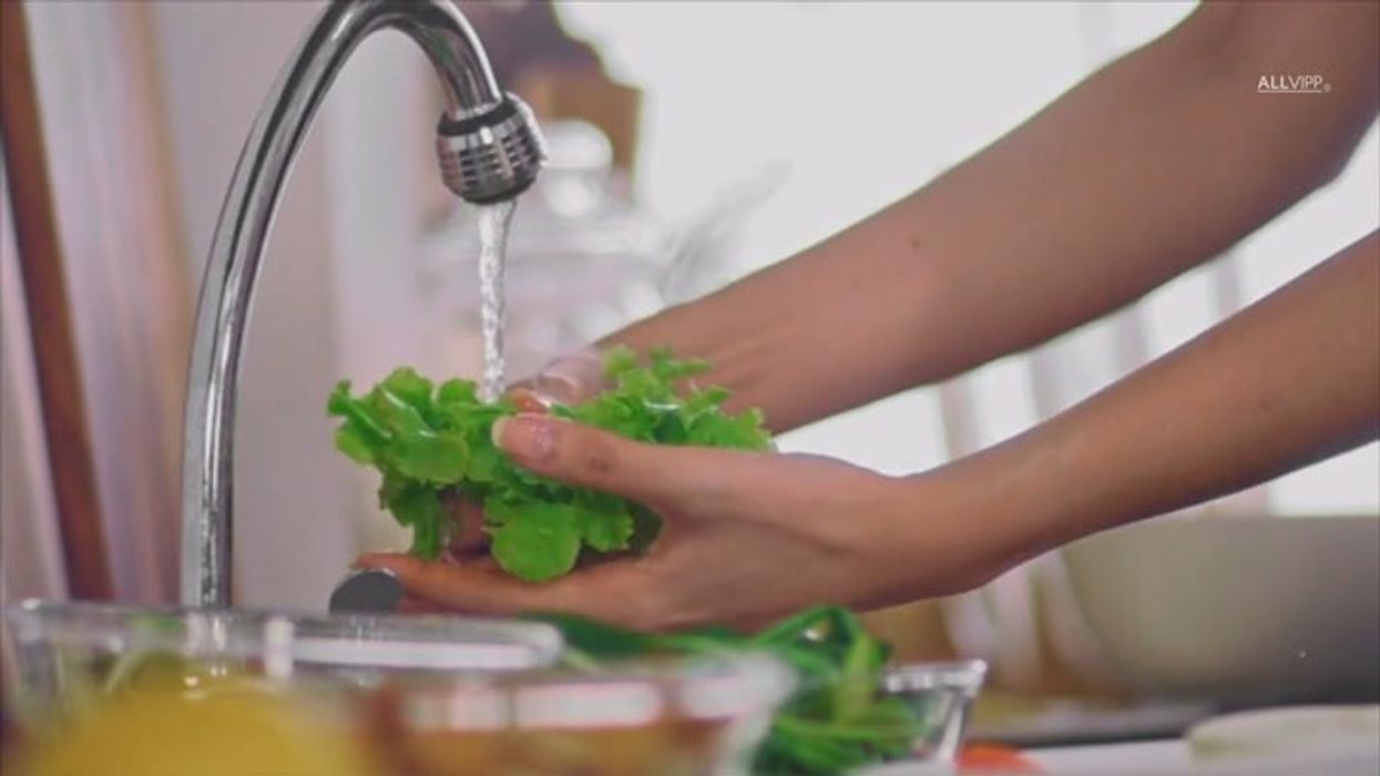 Meat-eaters are 'envious and angry' at vegans, according to new study