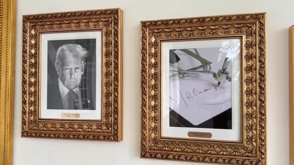 Is Joe Biden's White House portrait Donald Trump's most childish move yet?