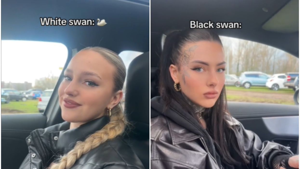 What are the White Swan & Black Swan personality types?