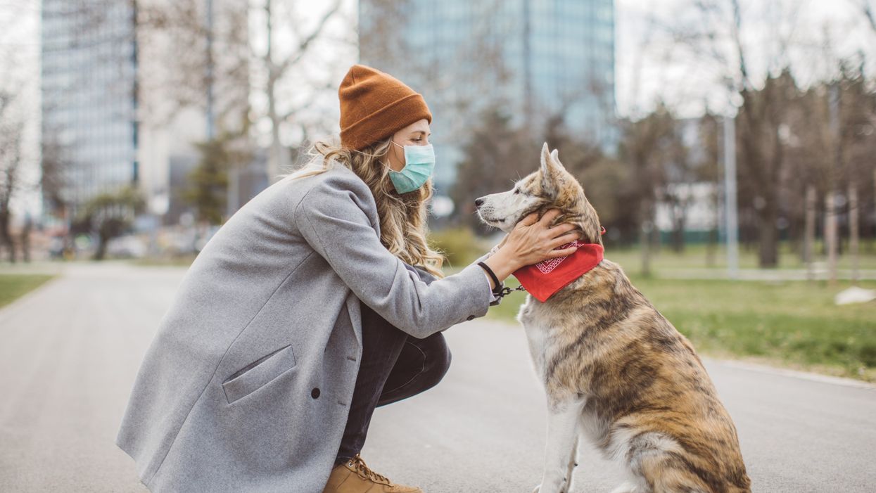 <p>Who knew that our dogs could tell if we’re untrustworthy?</p>