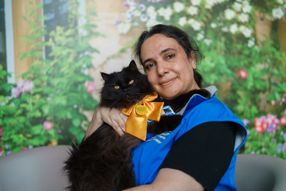 Hospital therapy cat and group rescuing animals in Ukraine honoured for work