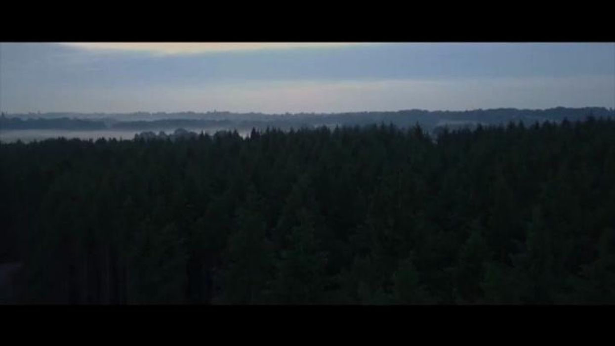 A horror version of Bambi 'on rabies' is now in the works