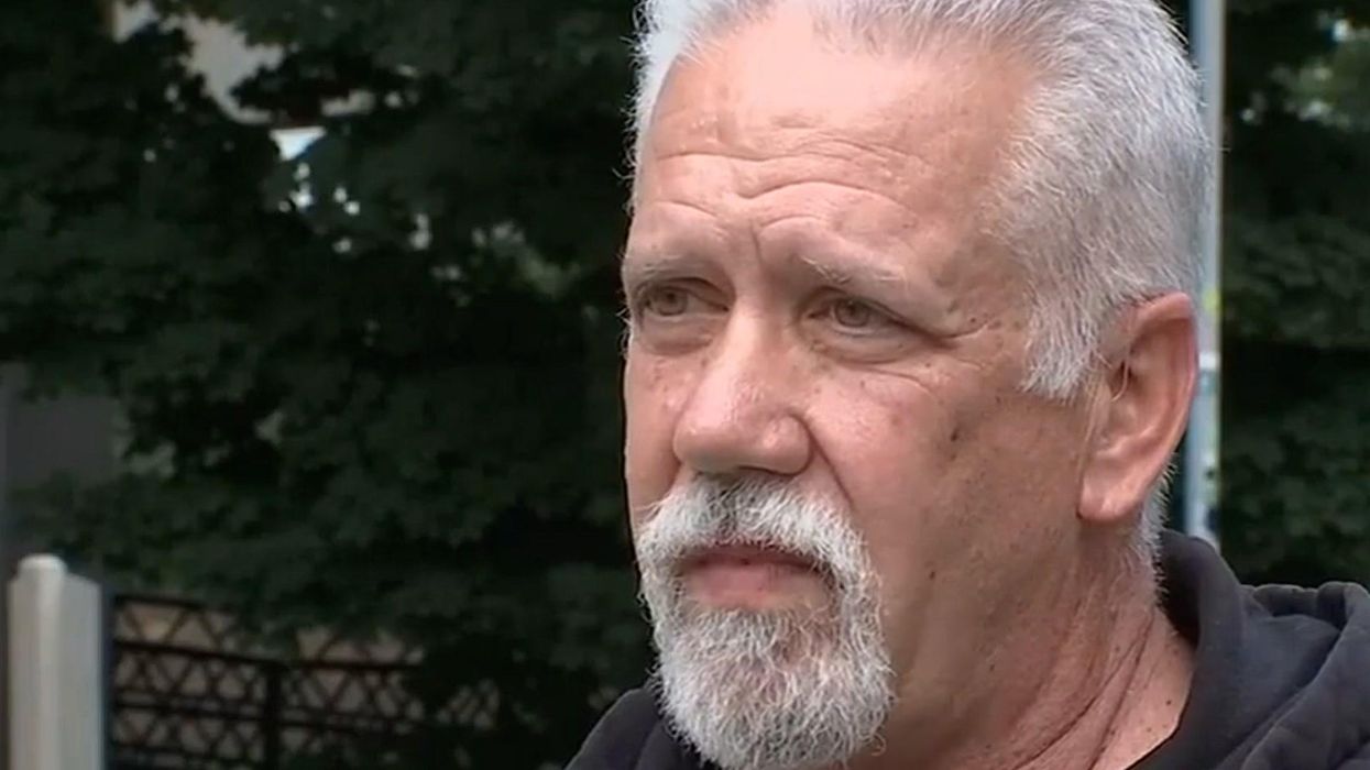 Scientists change the name of terrifying 'Asian giant hornet' to avoid hate crimes