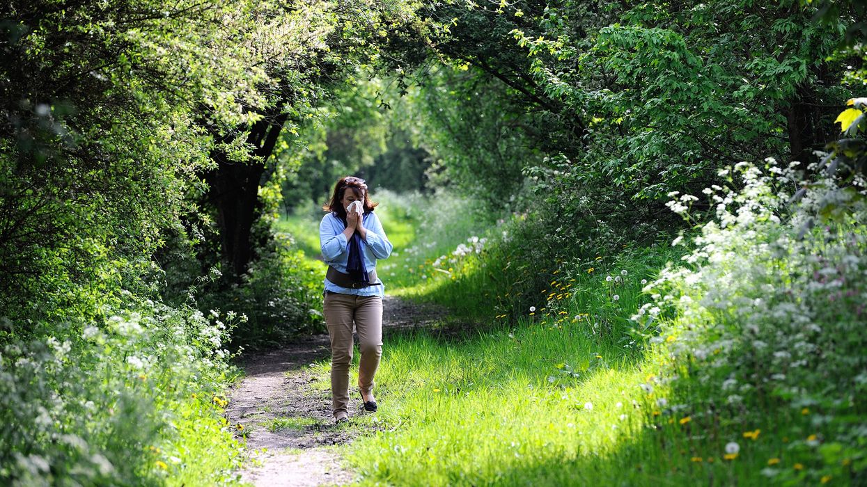Woman blows her nose in a grassy glade hay fever