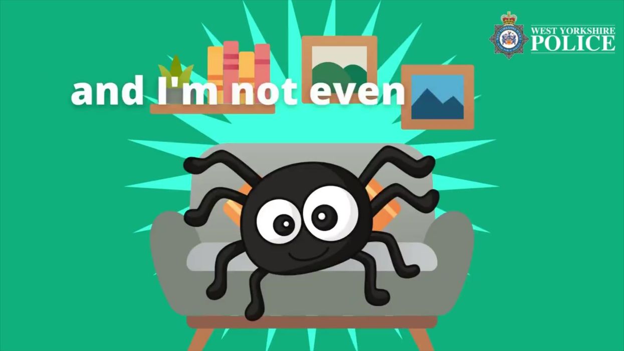 Woman calls 999 asking police to remove 'massive' spider from house