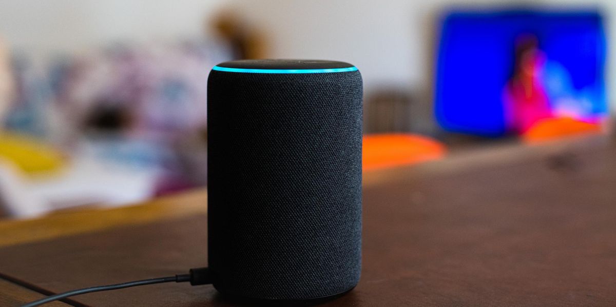 Excess: Put an Alexa Device in Every Single Room of Your