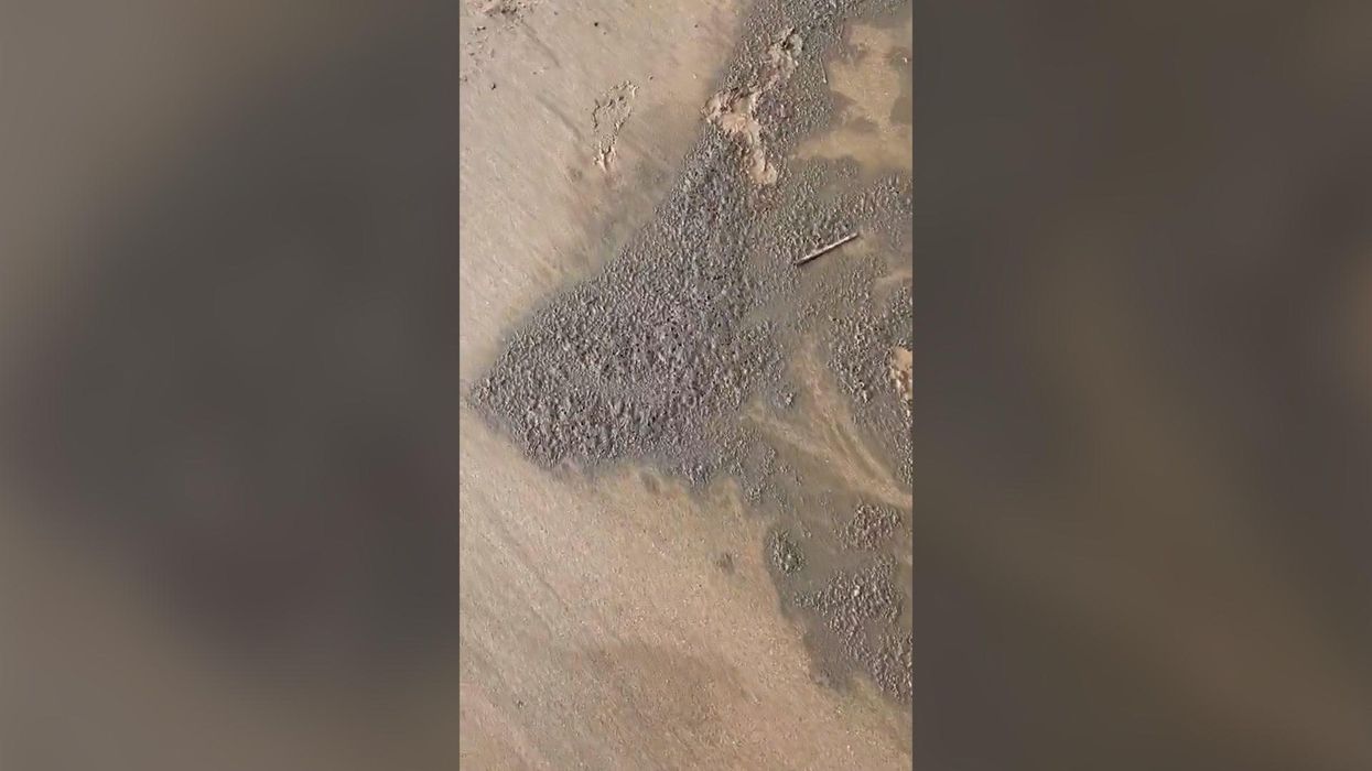 Beach shows extent of England's devastating sewage problem with 'poo wave'