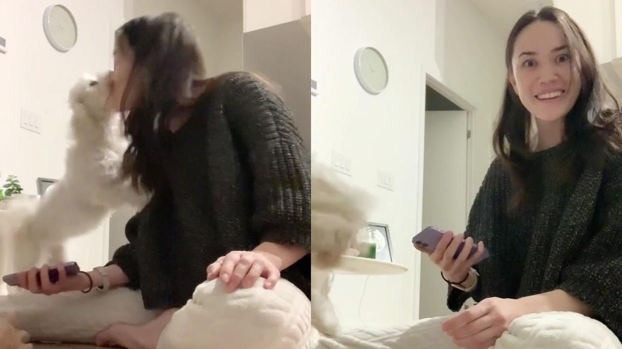 Woman in shock as 'Dog Translator' app works to perfection