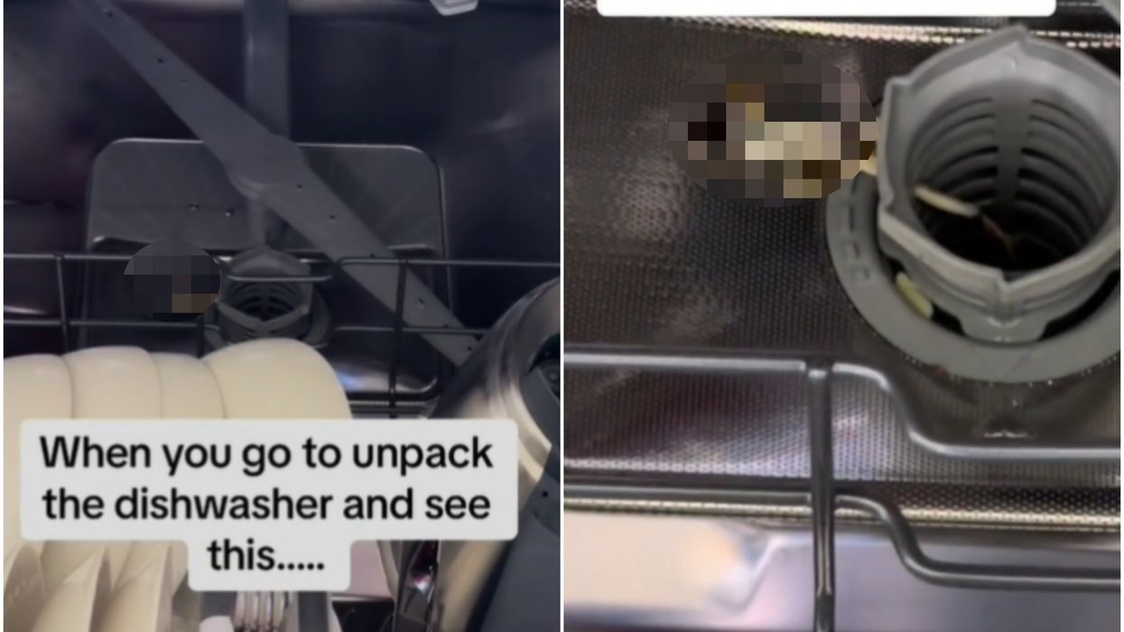 Woman makes stomach-churning discovery while emptying her dishwasher