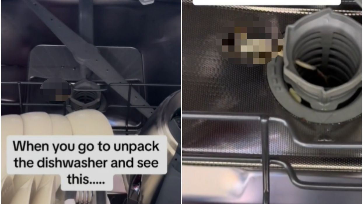 Woman makes stomach-churning discovery while emptying her dishwasher