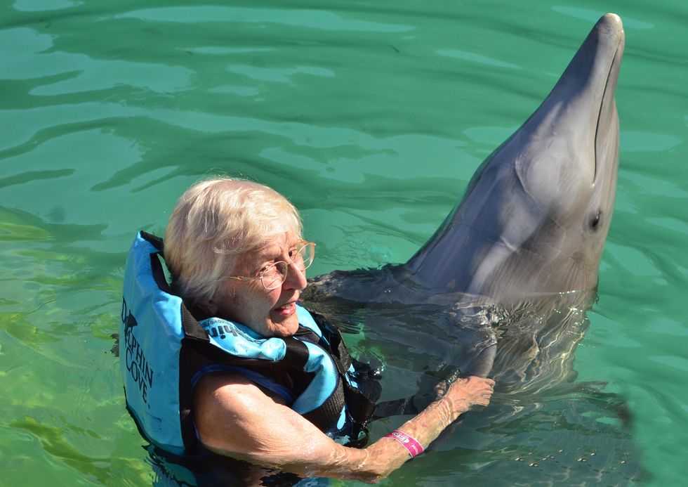 woman swimming with dolphins