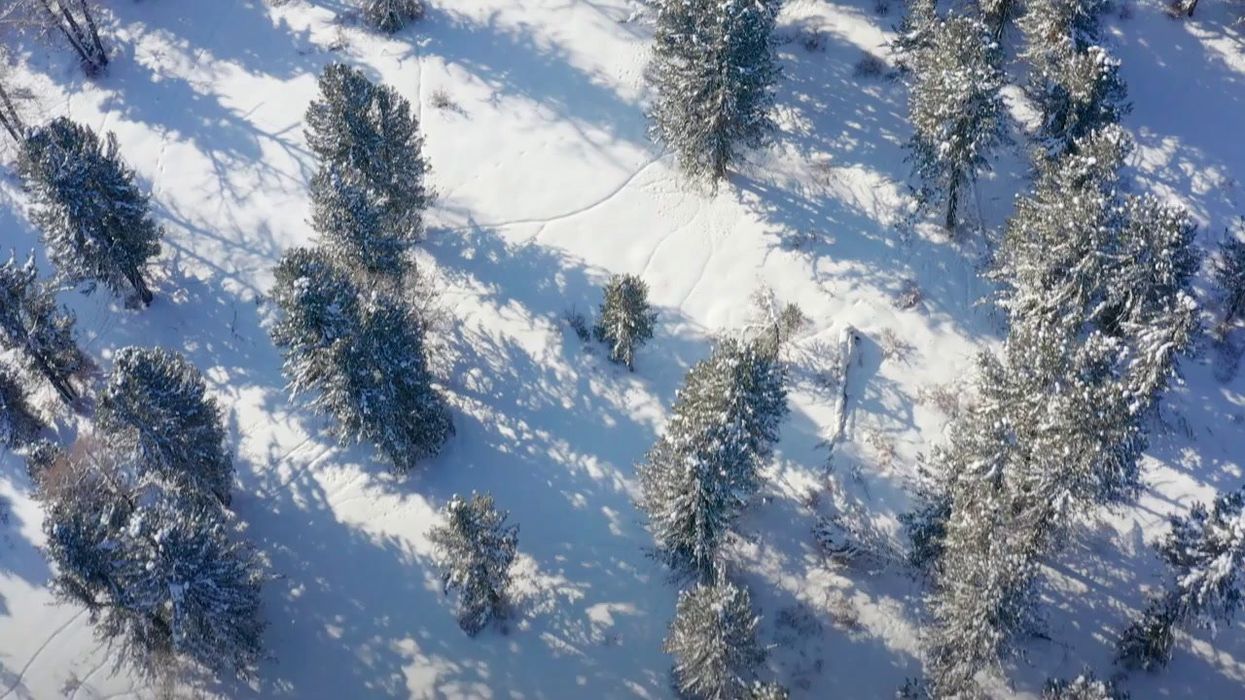 Human genome etched on 'memory' crystal could save us from extinction