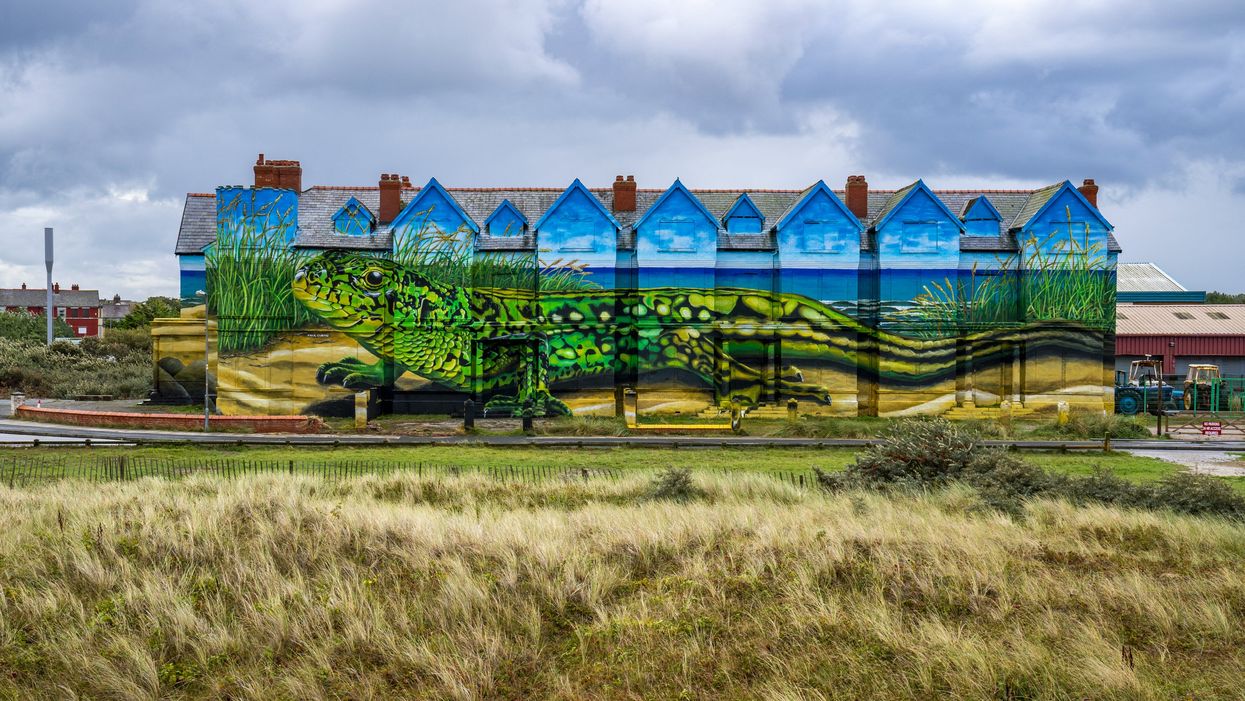 Work is completed on artist Paul Curtis’ sand lizards mural which covers the exterior of Toad Hall in Ainsdale, Merseyside (Peter Byrne/PA)