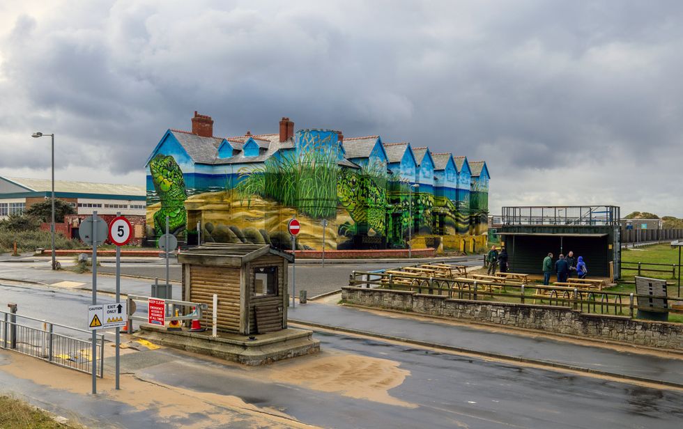 Work is completed on artist Paul Curtis\u2019 sand lizards mural which covers the exterior of Toad Hall in Ainsdale, Merseyside (Peter Byrne/PA)