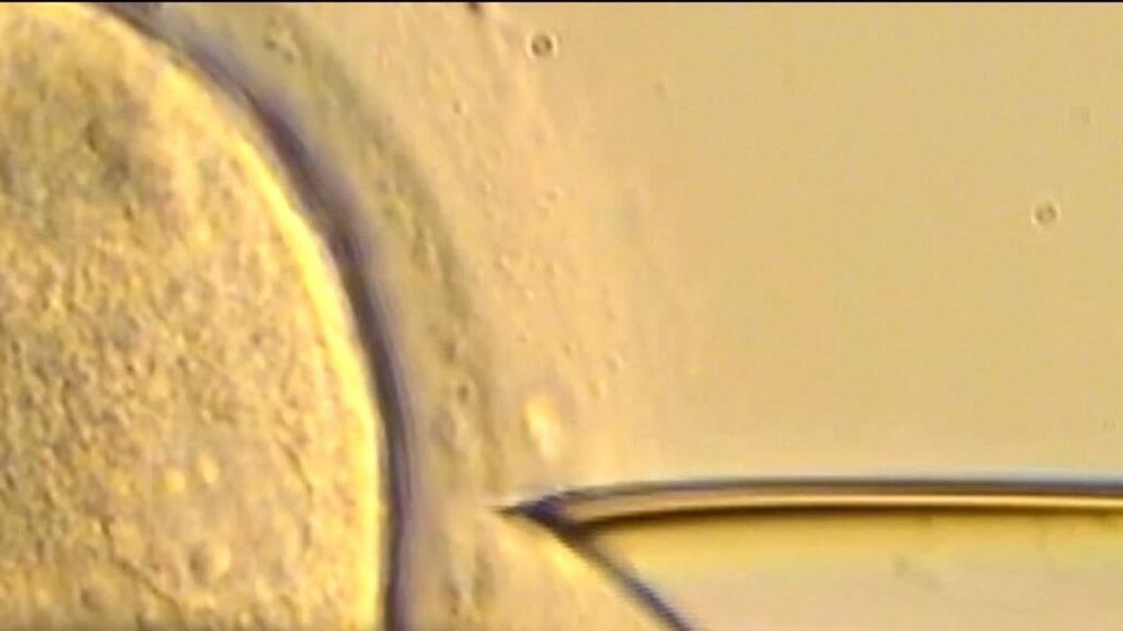 The world's 'oldest' baby has just been born - and he's already 31 years old