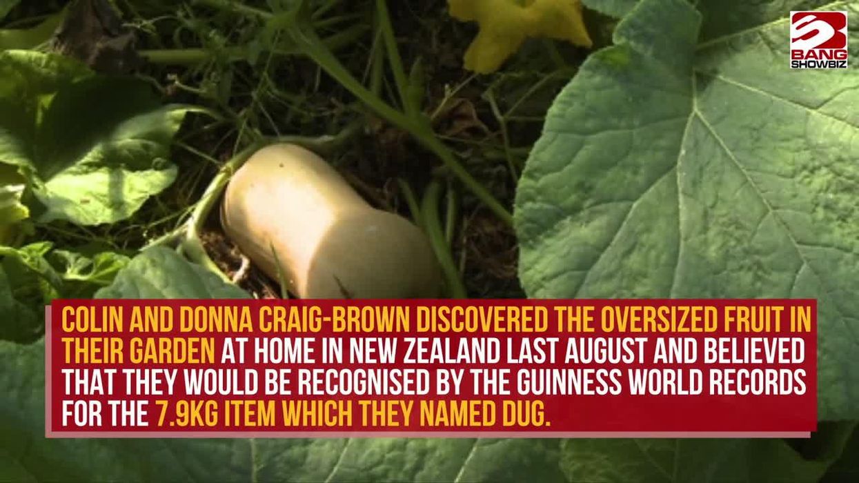 Man cuts parents out of his life after they secretly DNA tested his new baby