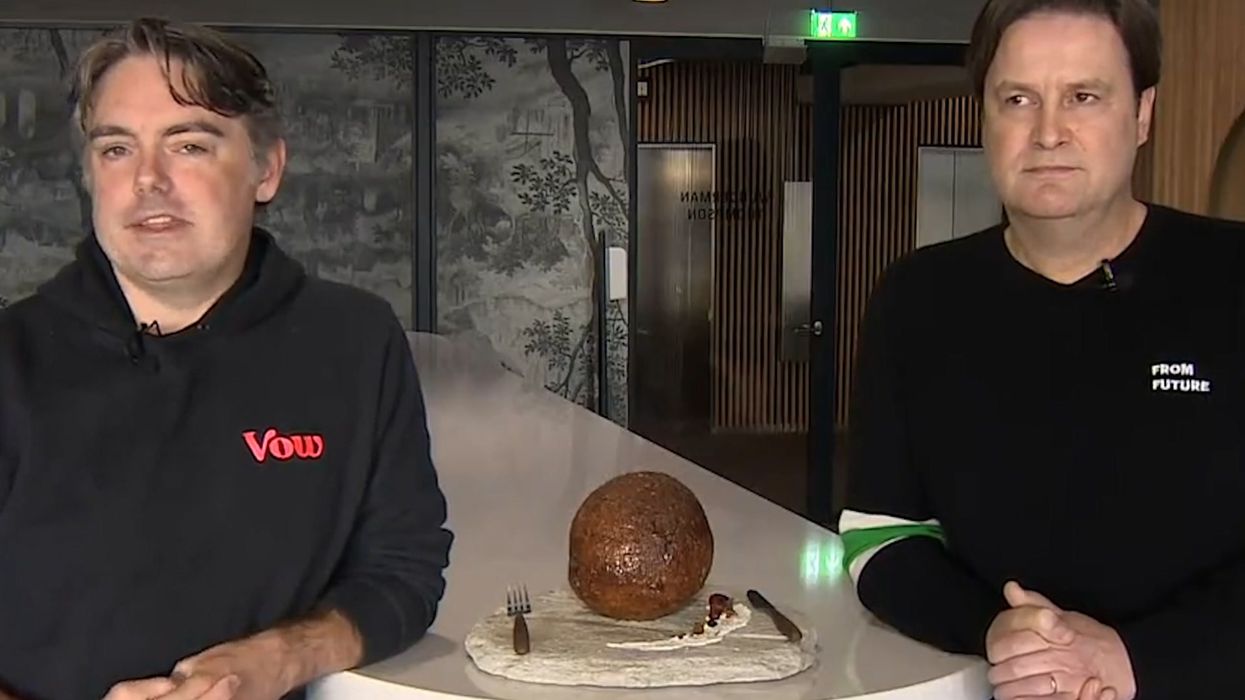 World's first 'woolly mammoth' meatball has been created from cells of extinct animal