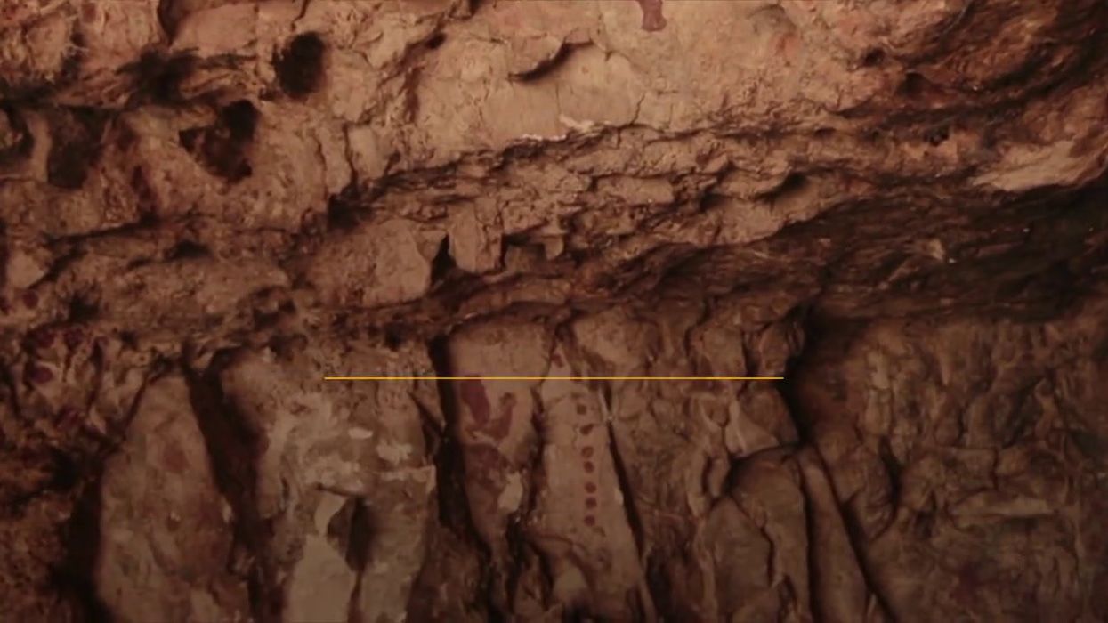 Oldest cave art in the world discovered – and it wasn't made by humans