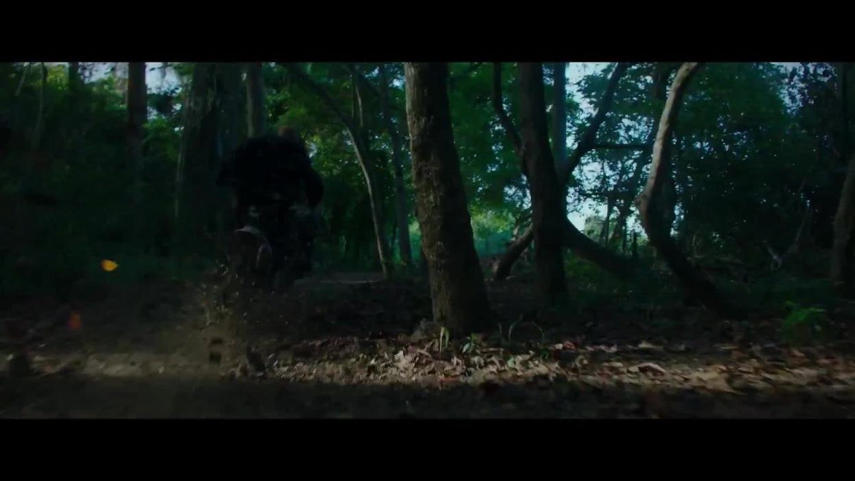 A petition is trying to get Donnie Yen booted from the Oscars for being 'pro-communist'