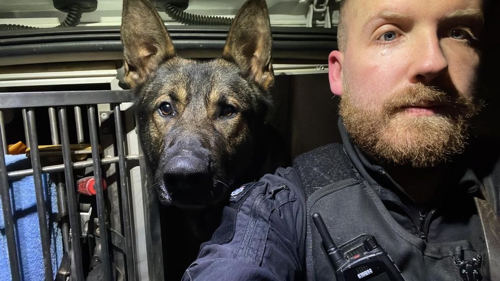 Yoiko and his handler Tom Marsden